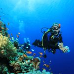 ANALYSIS OF THE FACTORIES (DIVING AT WORK) REGULATIONS 2018