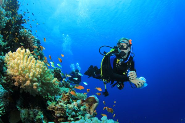 what-is-scuba-diving-like