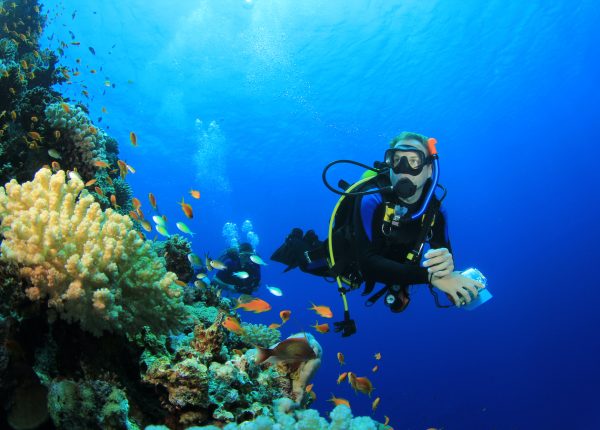 what-is-scuba-diving-like